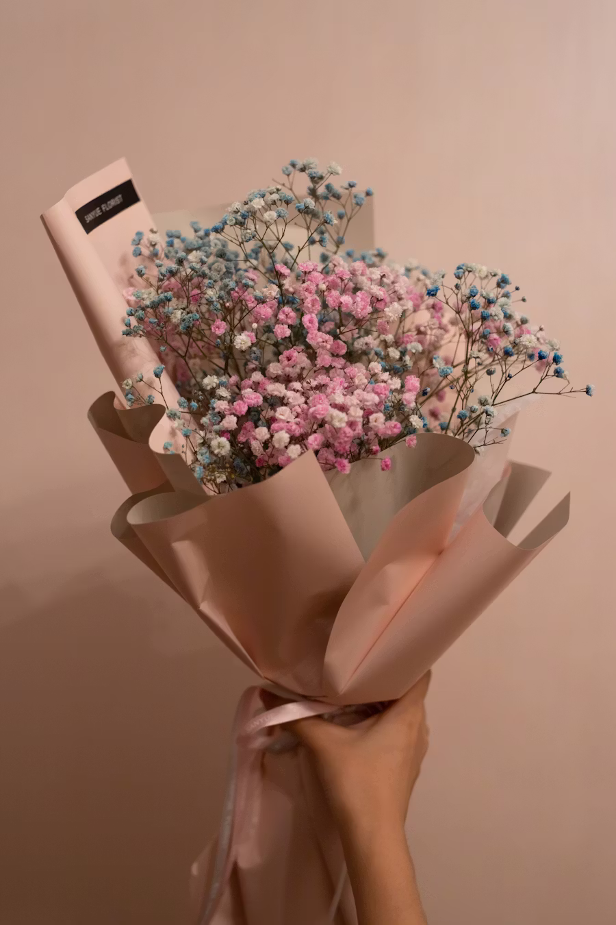 About hoya obovatum